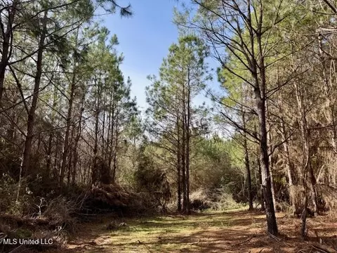 Tynes Road, Sandy Hook, MS 39478 photo 14