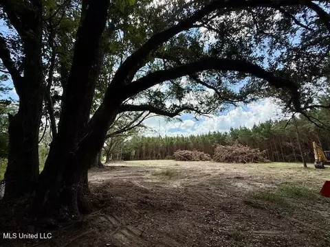Tynes Road, Sandy Hook, MS 39478 photo 6