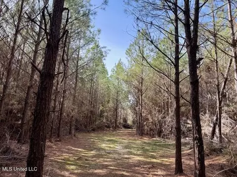 Tynes Road, Sandy Hook, MS 39478 photo 13