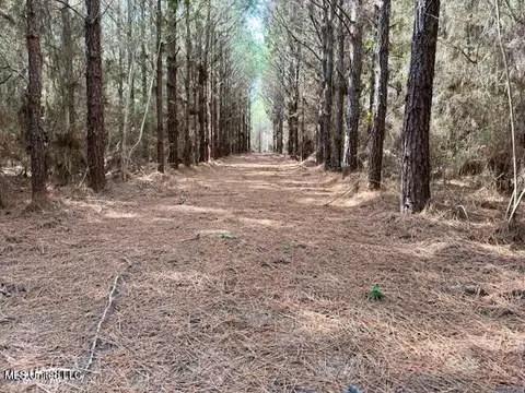 Tynes Road, Sandy Hook, MS 39478 photo 19
