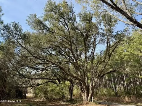 Tynes Road, Sandy Hook, MS 39478 photo 29