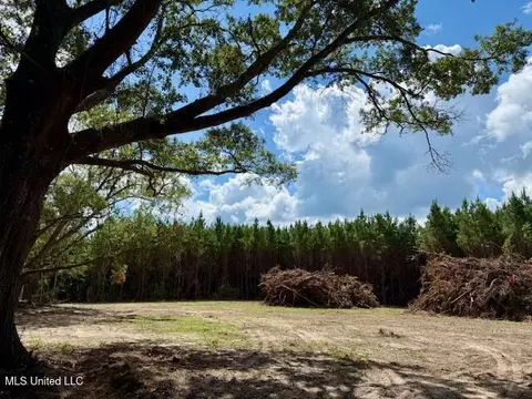 Tynes Road, Sandy Hook, MS 39478