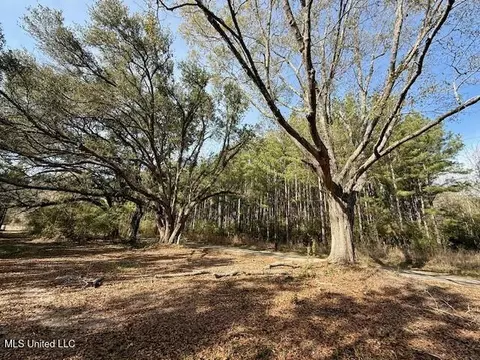 Tynes Road, Sandy Hook, MS 39478 photo 30