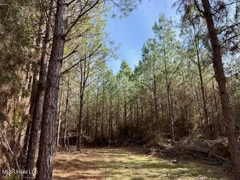 Tynes Road, Sandy Hook, MS 39478 photo 16