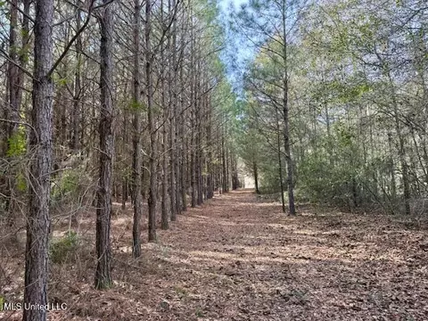 Tynes Road, Sandy Hook, MS 39478 photo 25