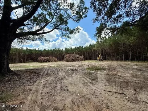 Tynes Road, Sandy Hook, MS 39478 photo 9