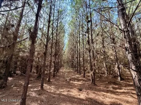 Tynes Road, Sandy Hook, MS 39478 photo 22