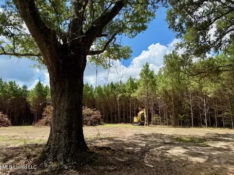 Tynes Road, Sandy Hook, MS 39478 photo 4