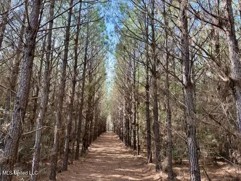 Tynes Road, Sandy Hook, MS 39478 photo 11