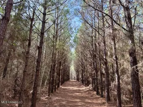 Tynes Road, Sandy Hook, MS 39478 photo 12