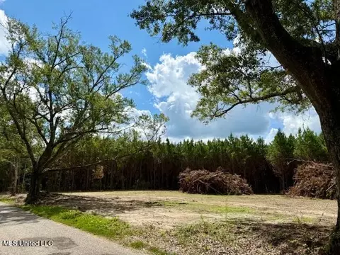 Tynes Road, Sandy Hook, MS 39478 photo 3