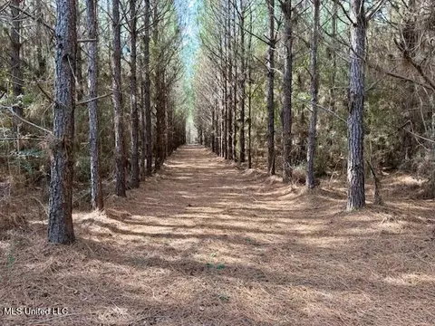Tynes Road, Sandy Hook, MS 39478 photo 20