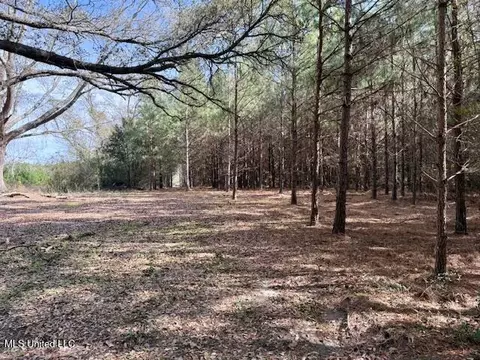 Tynes Road, Sandy Hook, MS 39478 photo 31