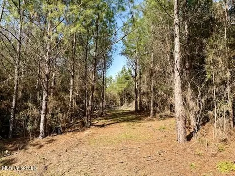 Tynes Road, Sandy Hook, MS 39478 photo 15