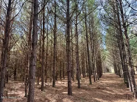 Tynes Road, Sandy Hook, MS 39478 photo 27