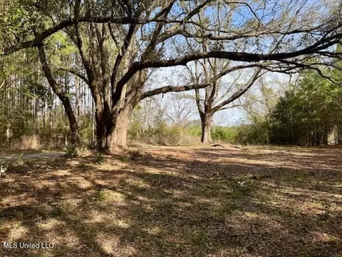 Tynes Road, Sandy Hook, MS 39478 photo 32