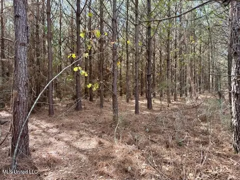 Tynes Road, Sandy Hook, MS 39478 photo 26