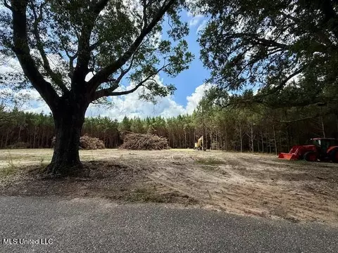 Tynes Road, Sandy Hook, MS 39478 photo 7