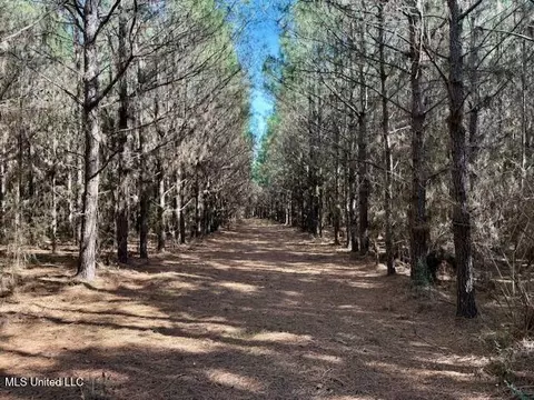 Military Road, Sandy Hook, MS 39478 photo 21