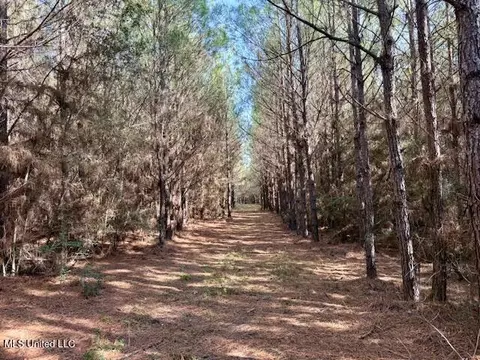 Military Road, Sandy Hook, MS 39478 photo 15