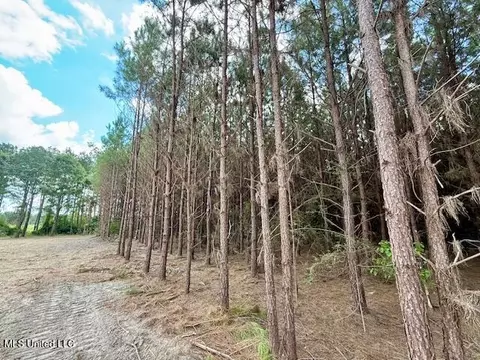 Military Road, Sandy Hook, MS 39478 photo 14