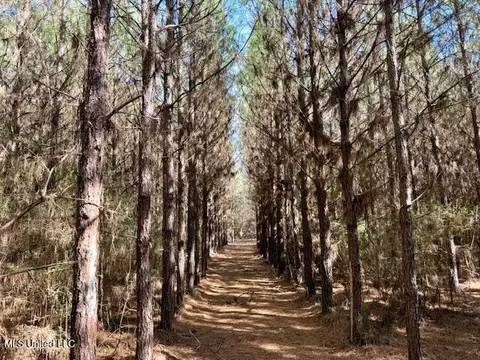 Military Road, Sandy Hook, MS 39478 photo 20