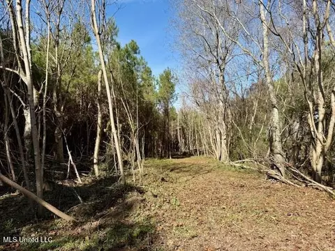 Military Road, Sandy Hook, MS 39478 photo 36