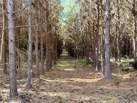 Military Road, Sandy Hook, MS 39478 photo 39