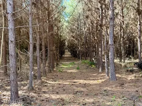 Military Road, Sandy Hook, MS 39478 photo 40