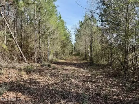 Military Road, Sandy Hook, MS 39478 photo 25