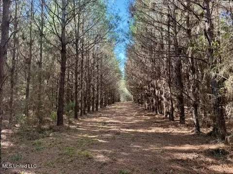 Military Road, Sandy Hook, MS 39478 photo 23