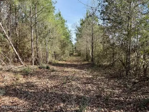 Military Road, Sandy Hook, MS 39478 photo 26