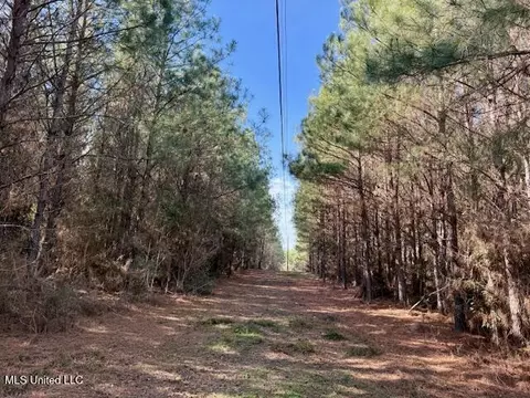 Military Road, Sandy Hook, MS 39478 photo 41