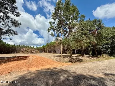 Military Road, Sandy Hook, MS 39478 photo 3
