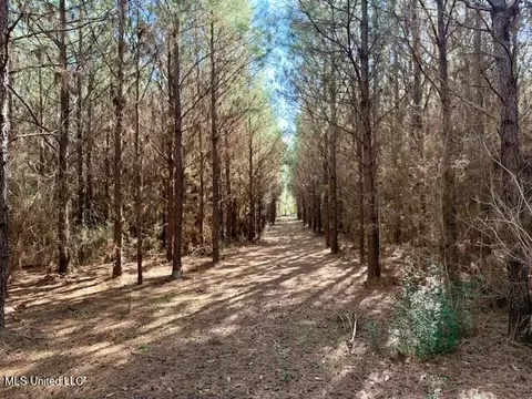 Military Road, Sandy Hook, MS 39478 photo 34