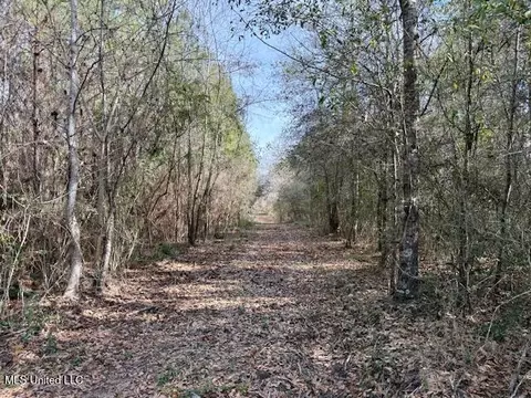 Military Road, Sandy Hook, MS 39478 photo 28