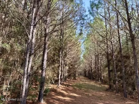 Military Road, Sandy Hook, MS 39478 photo 31