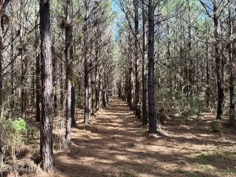 Military Road, Sandy Hook, MS 39478 photo 18