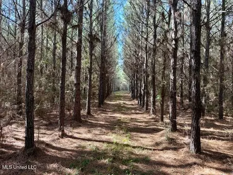 Military Road, Sandy Hook, MS 39478 photo 16