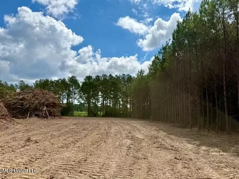 Military Road, Sandy Hook, MS 39478 photo 12