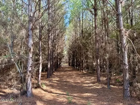 Military Road, Sandy Hook, MS 39478 photo 30