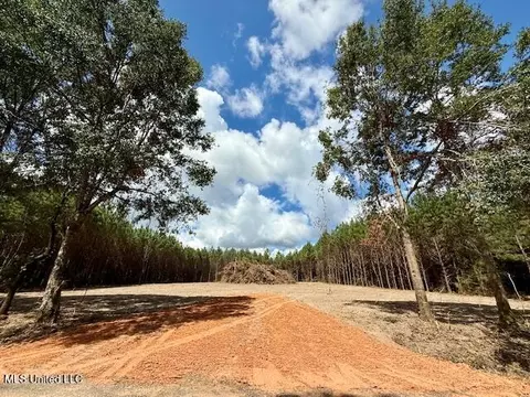 Military Road, Sandy Hook, MS 39478 photo 4