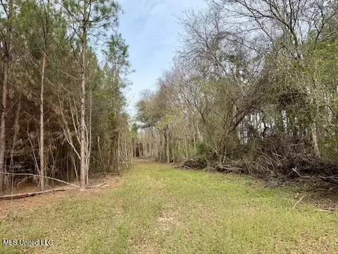 Military Road, Sandy Hook, MS 39478 photo 22