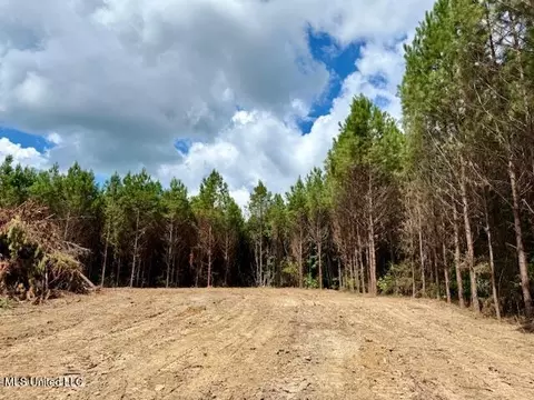 Military Road, Sandy Hook, MS 39478 photo 11