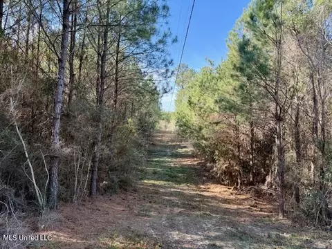 Military Road, Sandy Hook, MS 39478 photo 42