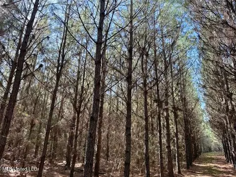 Military Road, Sandy Hook, MS 39478 photo 19