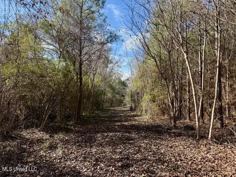 Military Road, Sandy Hook, MS 39478 photo 35