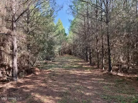 Military Road, Sandy Hook, MS 39478 photo 17