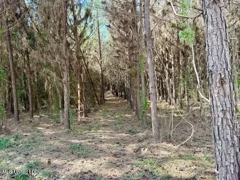 Military Road, Sandy Hook, MS 39478 photo 38