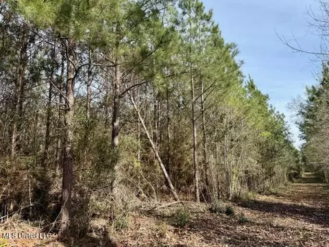 Military Road, Sandy Hook, MS 39478 photo 27